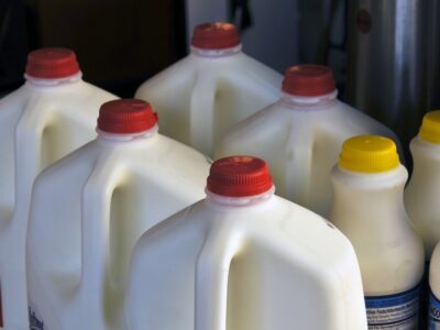 Jugs of Milk