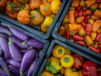 fruit_vegetable_pepper_eggplant.jpg