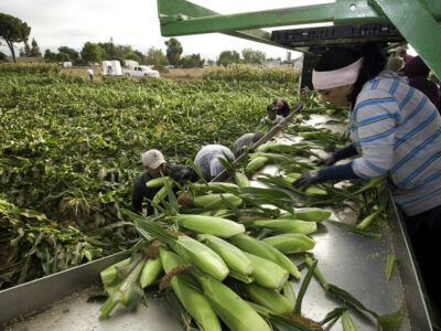 Migrant workers