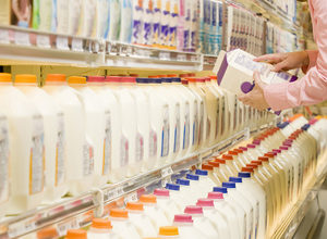milk_dairy_store_groceryshopping