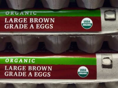 Organic eggs