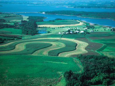 Green Farmland