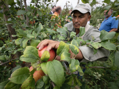 USDA photo of Honduran H-2A worker in Pa.