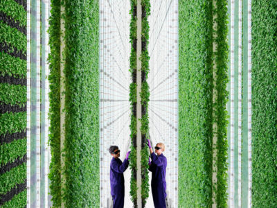 Vertical-Farming-Plenty-836x627.jpg