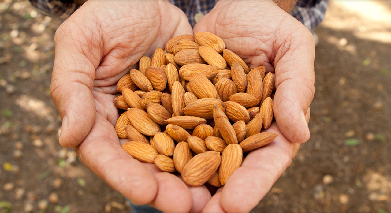 Wonderful Almonds