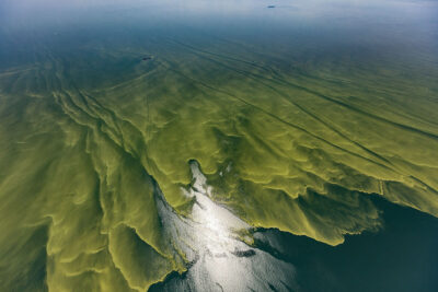 Lake Erie algae