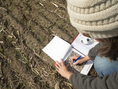 Crop Insurance Study