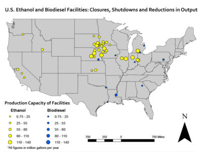 Biofuel production