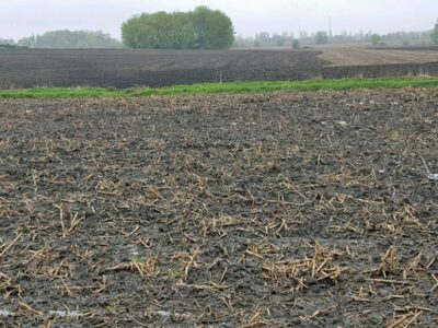 Wet spring field