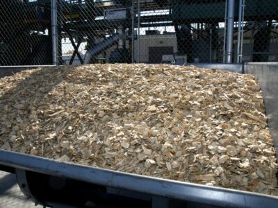 Wood chips