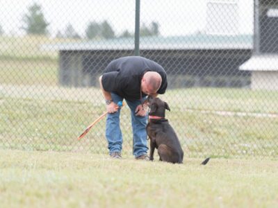 Glen Golden with dog