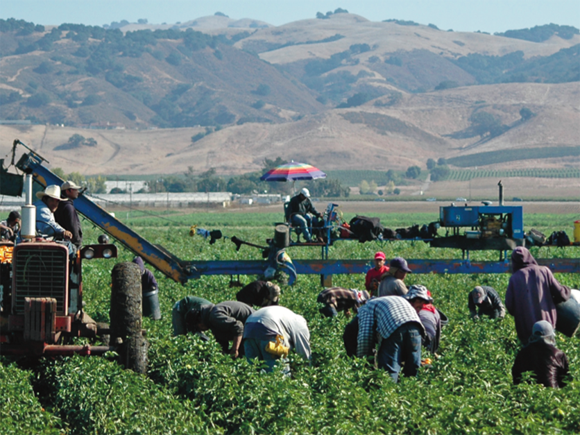 How Much Do Farm Labor Contractors Make In California