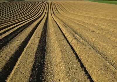 farm beds