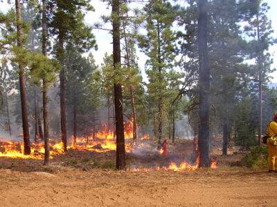 Wildfire_naturaldisaster_firefighter