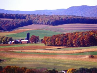 farm landscape.2