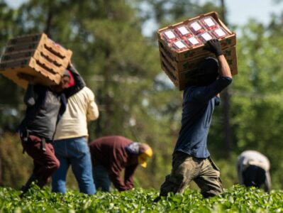 Workers with boxes (USDA shot)