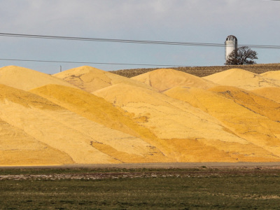 Corn pile