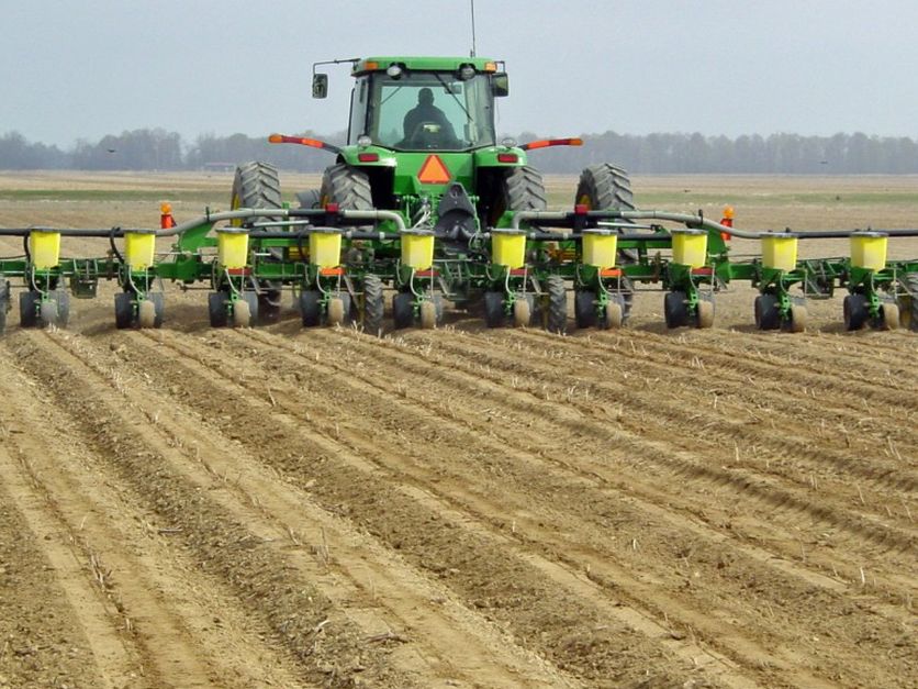 US farmers planting fewer corn, soybean acres; more wheat