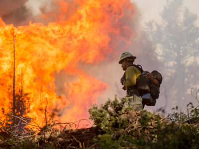 forest firefighter.jpg