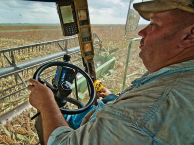 Farmer harvesting