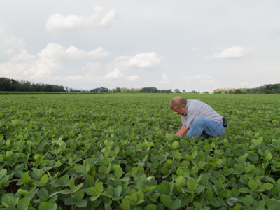 soybeans and farmer