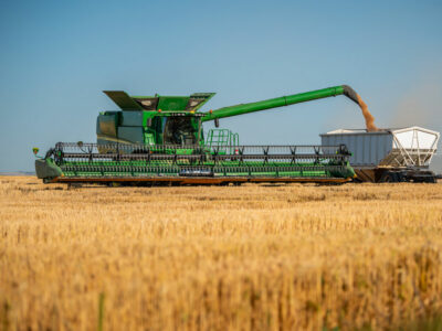 Wheat harvest