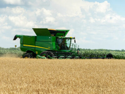 Wheat harvest