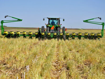 No-till planting into a cover crop