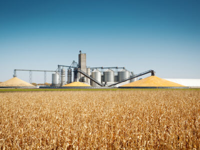 grainstorage_grainbin_crops_harvest