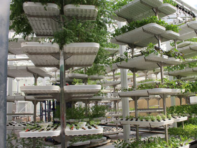 Vertical farming