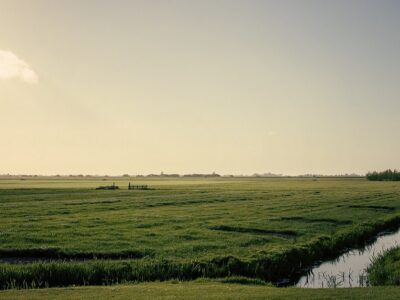 wetlands