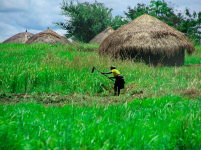 African agriculture