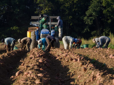 Farm workers