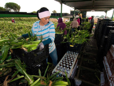 Farmworkers