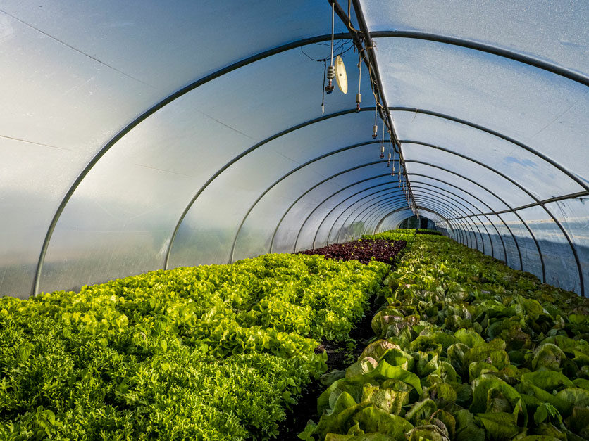 Nursery and greenhouse industry remains Oregon’s top agricultural ...