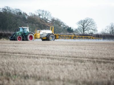 glyphosate application