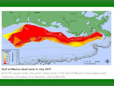 dead zone 2017