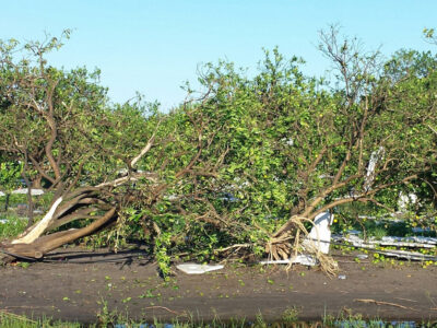 Hurricane Harvey Damage