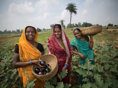 India farmers