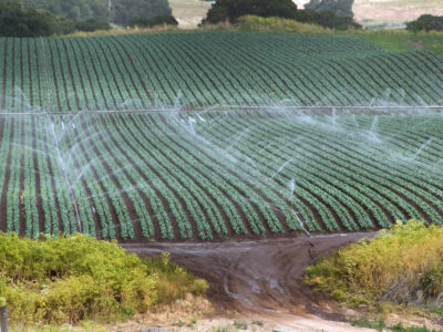 Irrigation