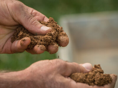 Soil Health