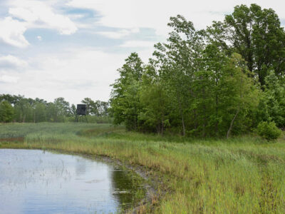 Wetland_WOTUS_field.jpg