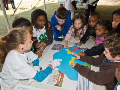 Youth in agriculture