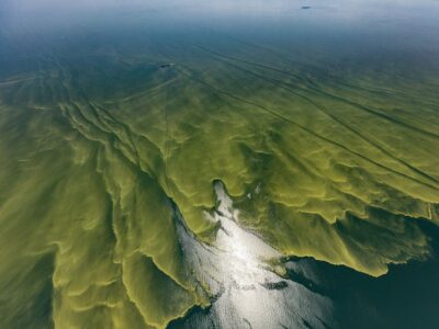 Lake Erie HABs