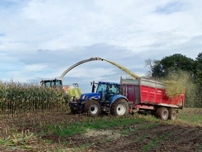 silage