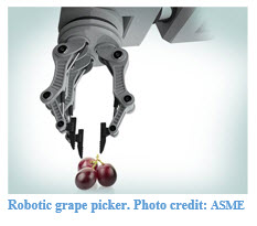Robot Grape Picker