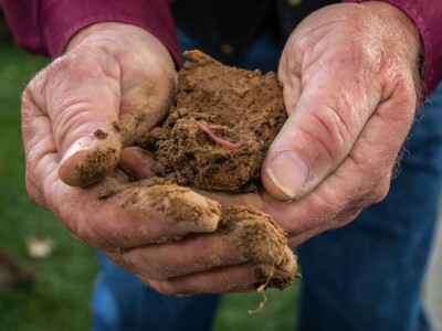 Hands holding soil