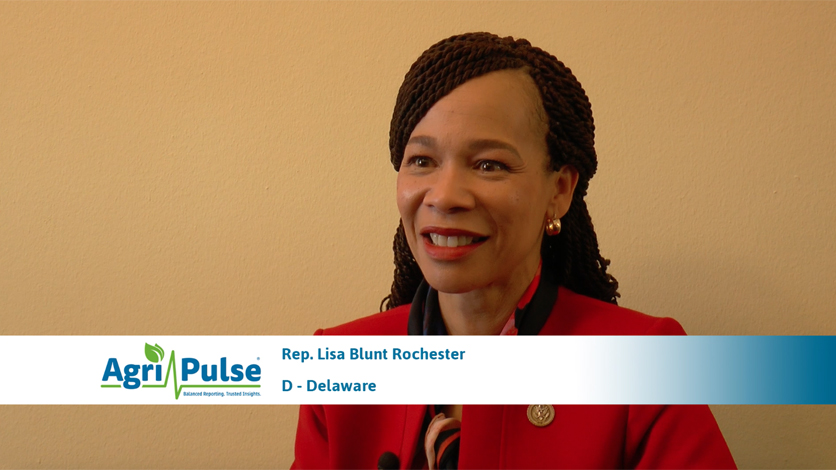 Meet The Lawmaker Rep Lisa Blunt Rochester Delaware